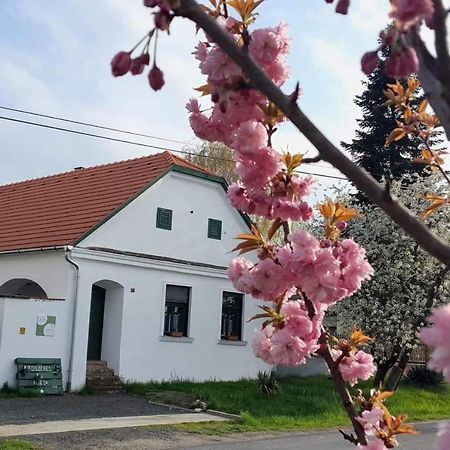 Mihalyfa Fuszeres Porta 빌라 외부 사진