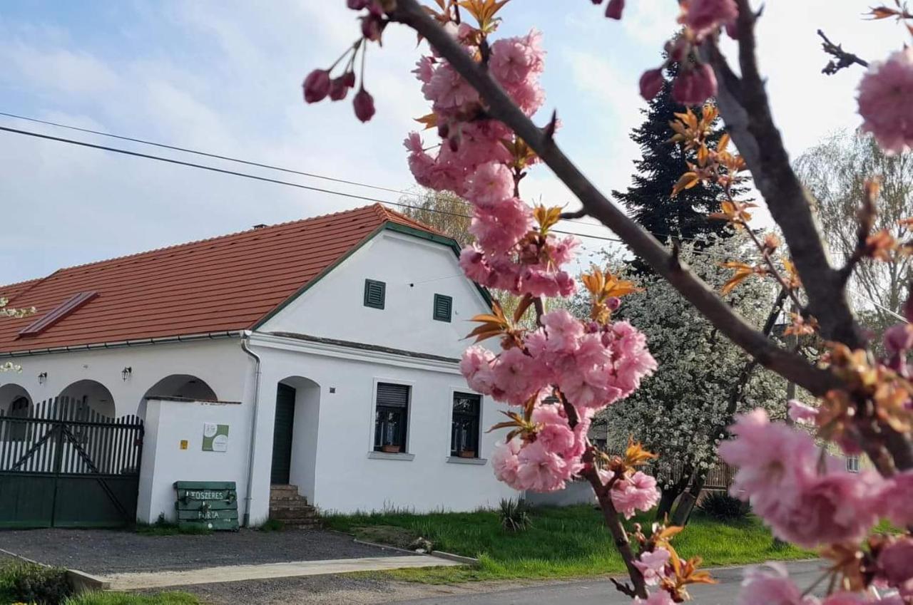 Mihalyfa Fuszeres Porta 빌라 외부 사진